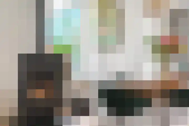 Hoefslagmate 20 Zwolle thumbnail 8