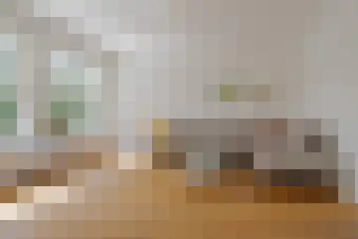 Hoefslagmate 47 Zwolle thumbnail 13