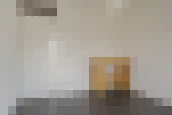 Hoefslagmate 47 Zwolle thumbnail 30