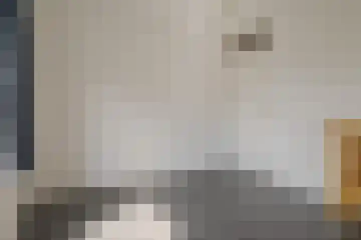 Hoefslagmate 47 Zwolle thumbnail 31