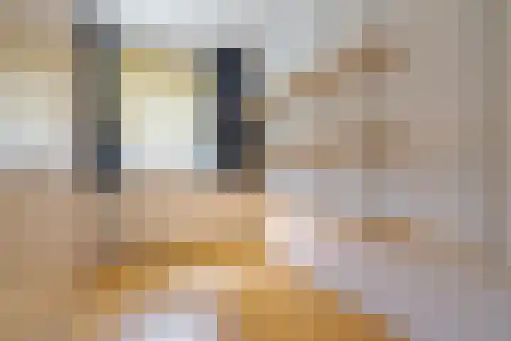 Hoefslagmate 47 Zwolle thumbnail 32