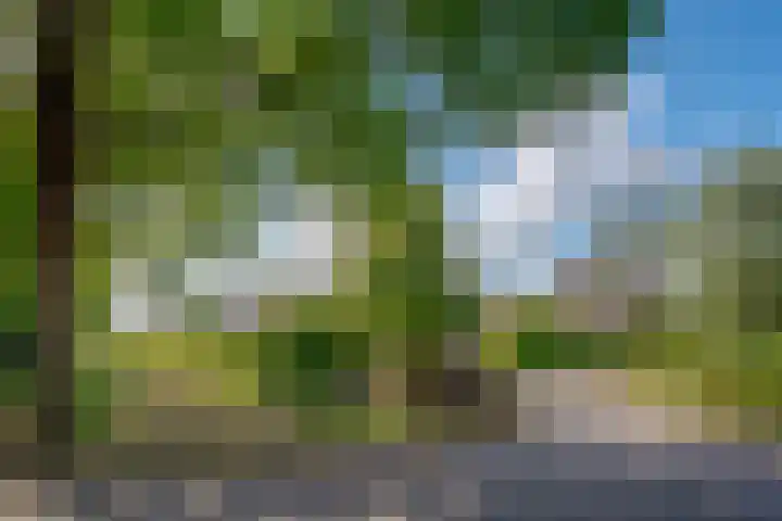 Hoefslagmate 47 Zwolle thumbnail 4
