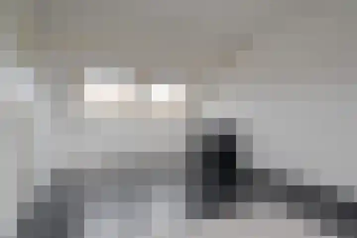 Hoefslagmate 47 Zwolle thumbnail 42