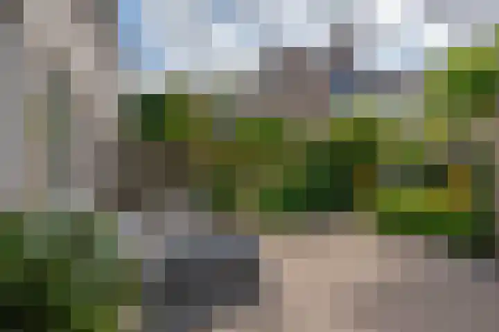 Hoefslagmate 47 Zwolle thumbnail 46