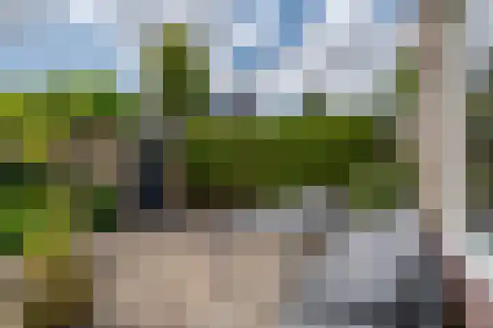 Hoefslagmate 47 Zwolle thumbnail 47