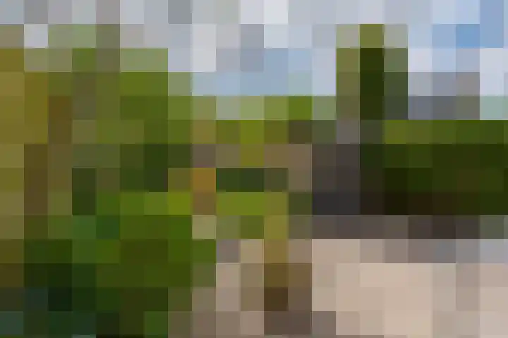 Hoefslagmate 47 Zwolle thumbnail 48