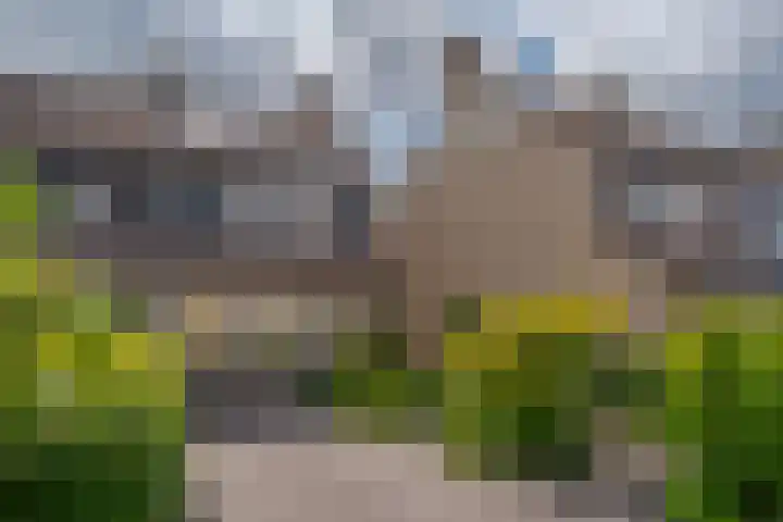 Hoefslagmate 47 Zwolle thumbnail 52