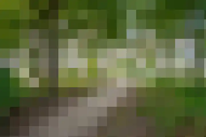 Hoefslagmate 47 Zwolle thumbnail 56