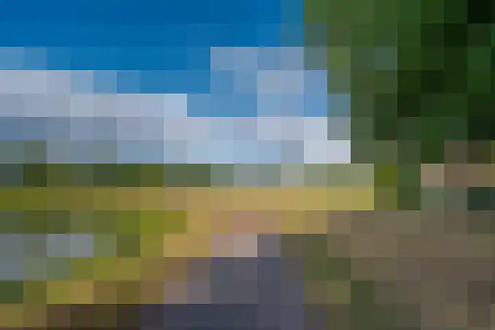 Hoefslagmate 47 Zwolle thumbnail 57