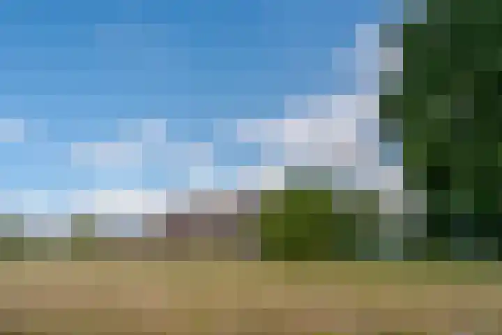 Hoefslagmate 47 Zwolle thumbnail 58