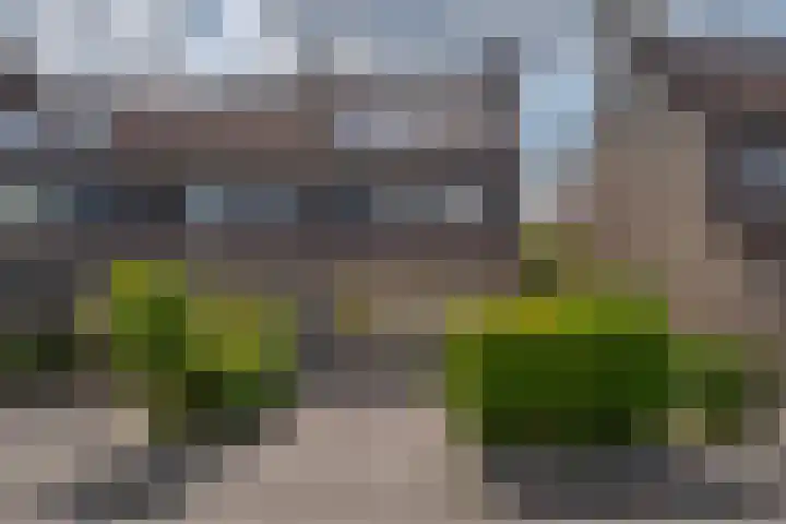 Hoefslagmate 47 Zwolle thumbnail 6