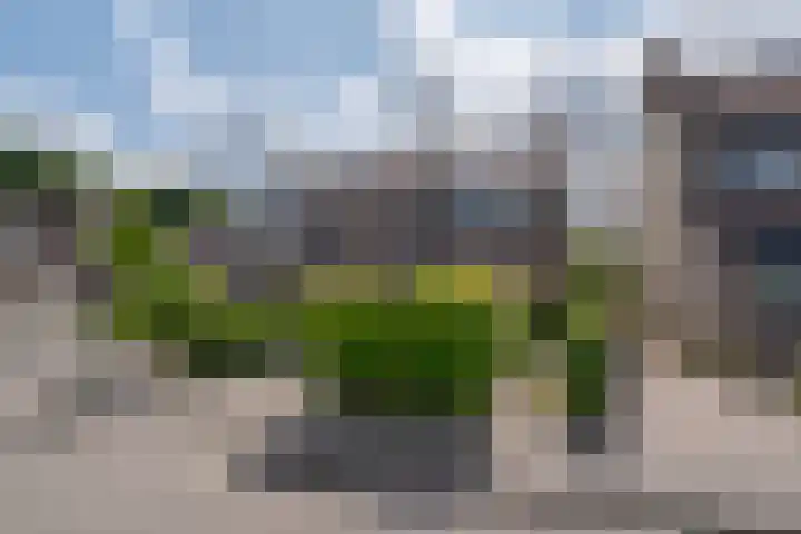 Hoefslagmate 47 Zwolle thumbnail 63