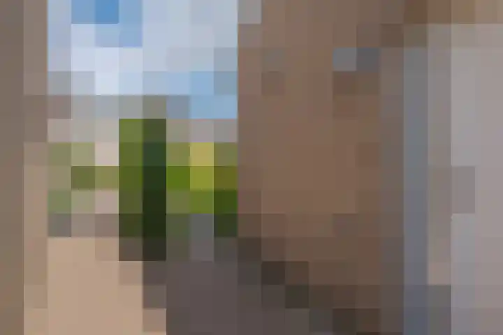 Hoefslagmate 47 Zwolle thumbnail 7
