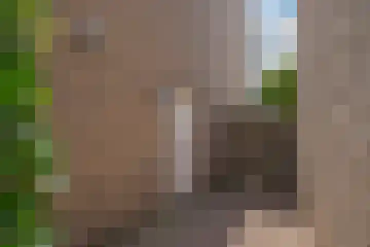 Hoefslagmate 47 Zwolle thumbnail 8
