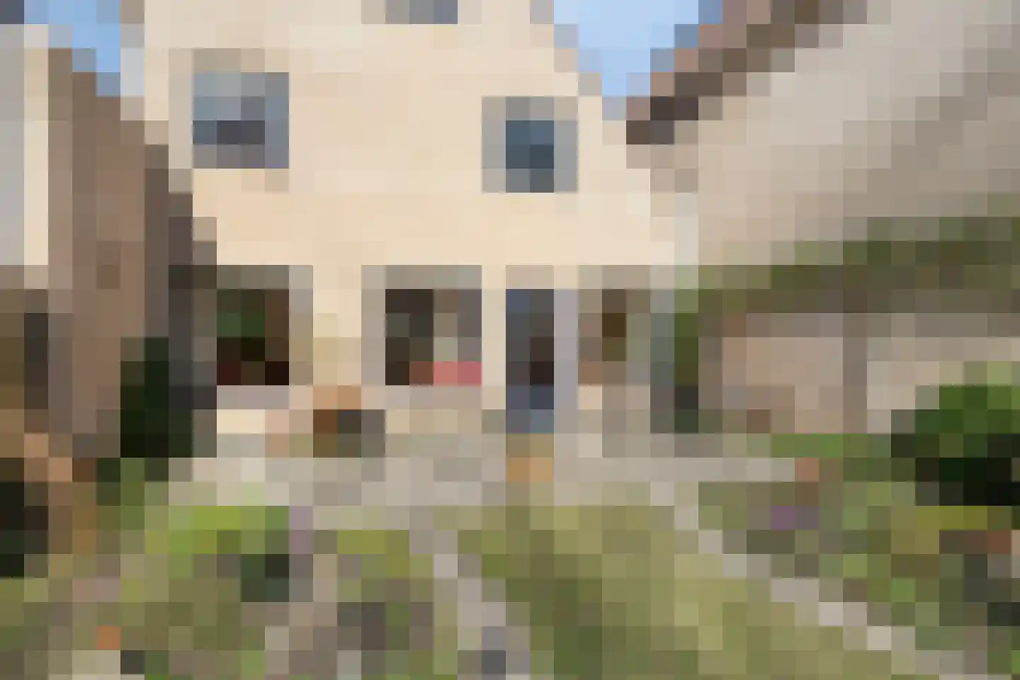Hoefslagmate 58 Zwolle thumbnail 42