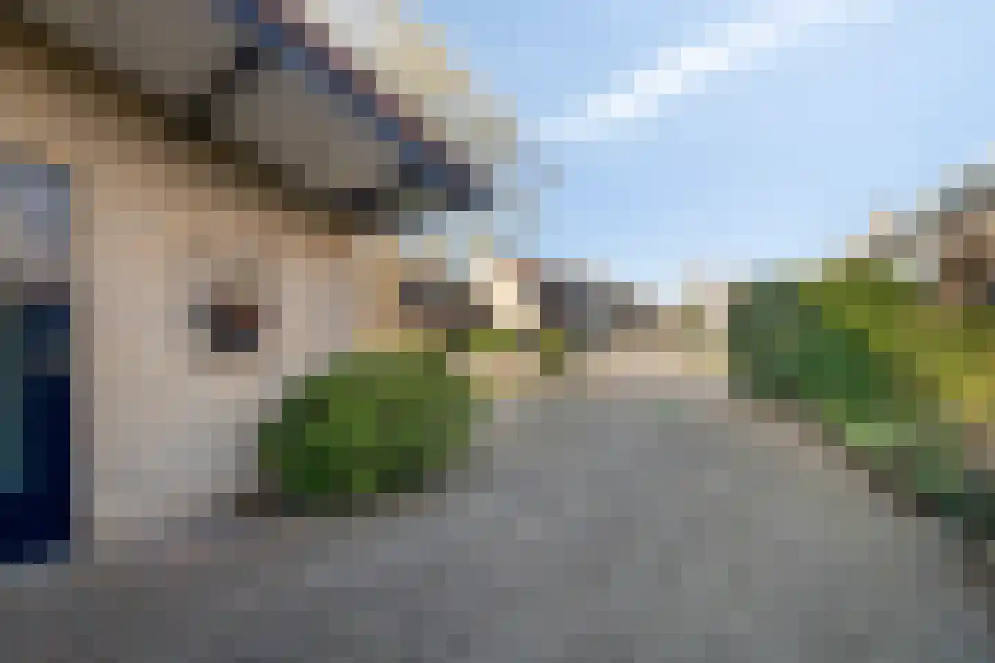 Hoefslagmate 58 Zwolle thumbnail 52