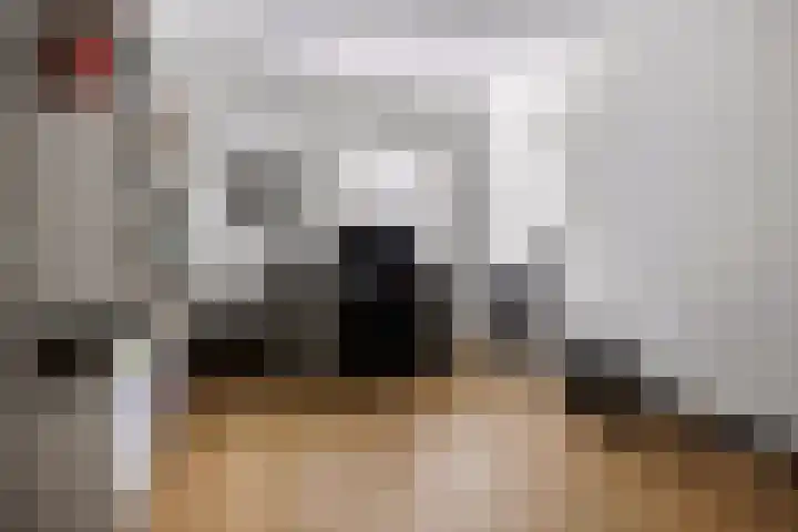 Hoefslagmate 60 Zwolle thumbnail 30