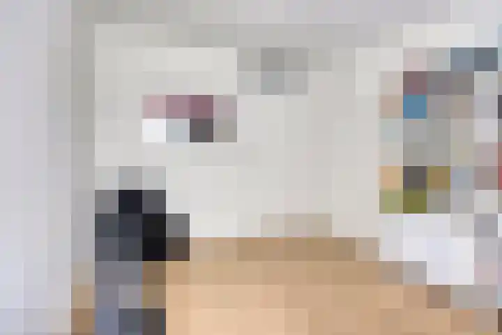 Hoefslagmate 60 Zwolle thumbnail 31