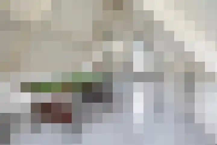Hoefslagmate 60 Zwolle thumbnail 35