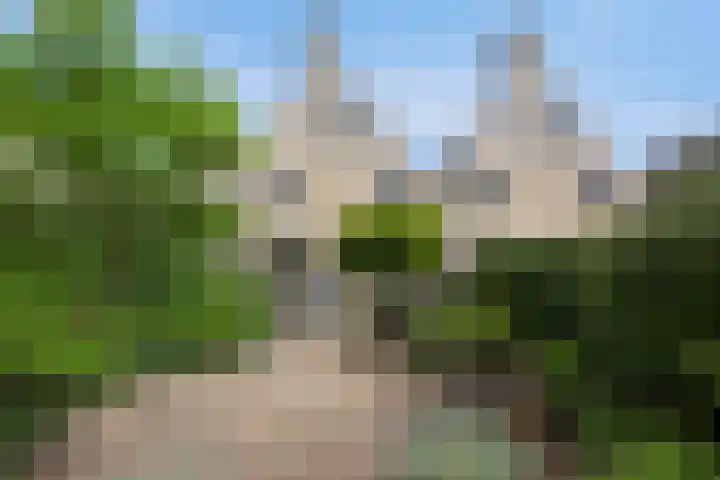 Hoefslagmate 60 Zwolle thumbnail 37