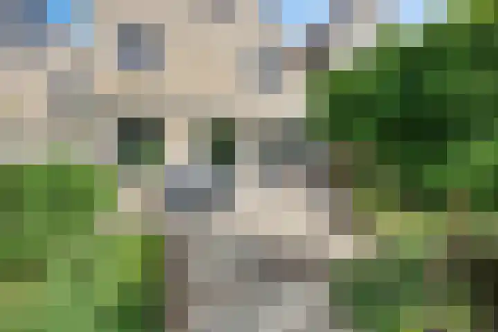 Hoefslagmate 60 Zwolle thumbnail 38