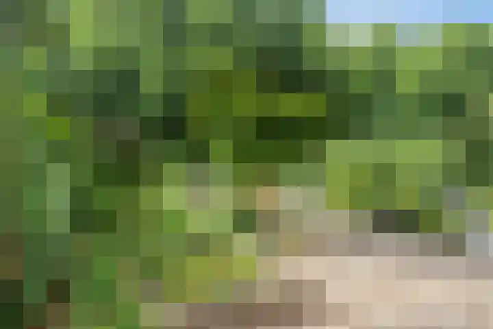 Hoefslagmate 60 Zwolle thumbnail 39