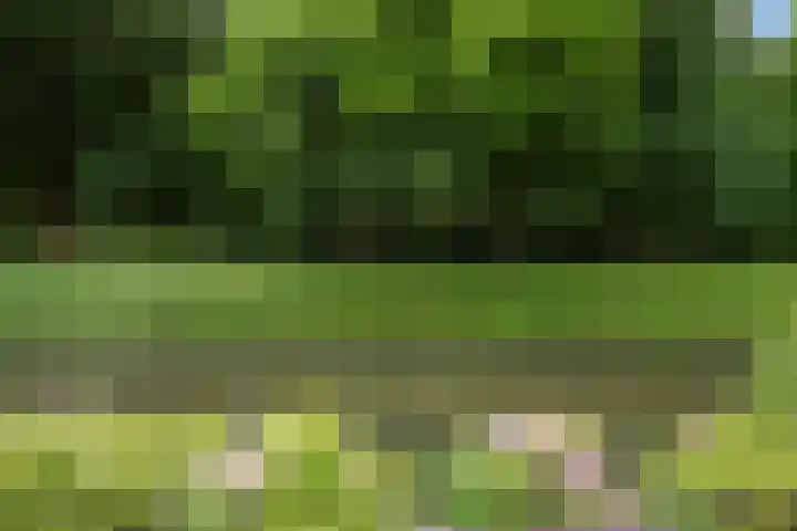 Hoefslagmate 60 Zwolle thumbnail 4