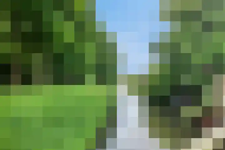 Hoefslagmate 60 Zwolle thumbnail 43