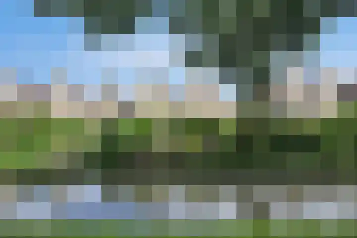 Hoefslagmate 60 Zwolle thumbnail 48