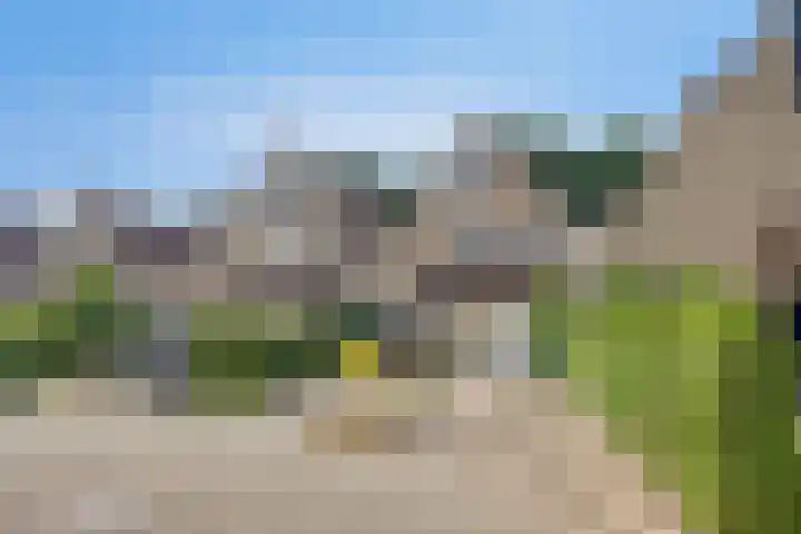 Hoefslagmate 60 Zwolle thumbnail 6