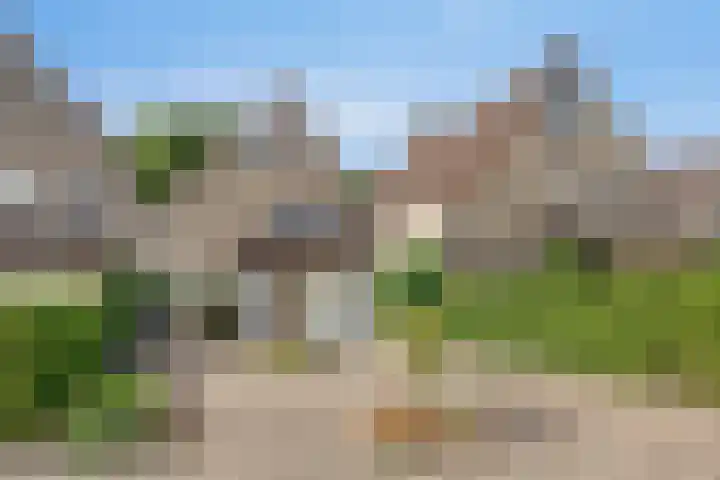 Hoefslagmate 60 Zwolle thumbnail 7