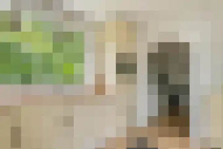 Hoefslagstraat 101 Druten thumbnail 11