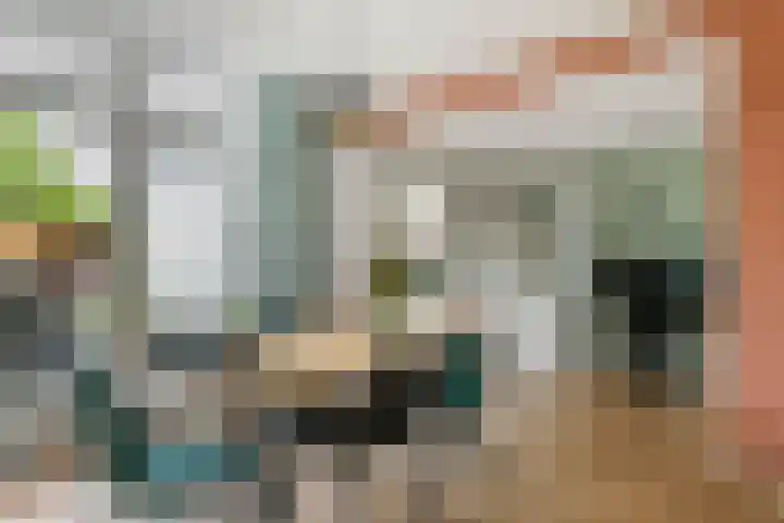 Hoefslagstraat 101 Druten thumbnail 13
