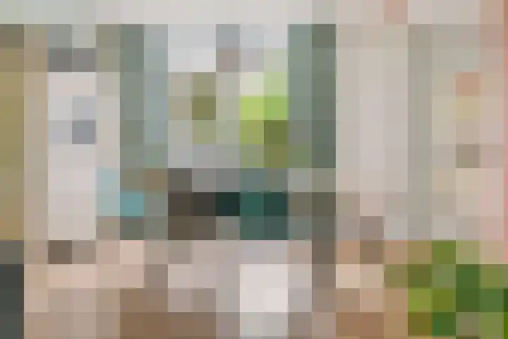 Hoefslagstraat 101 Druten thumbnail 14
