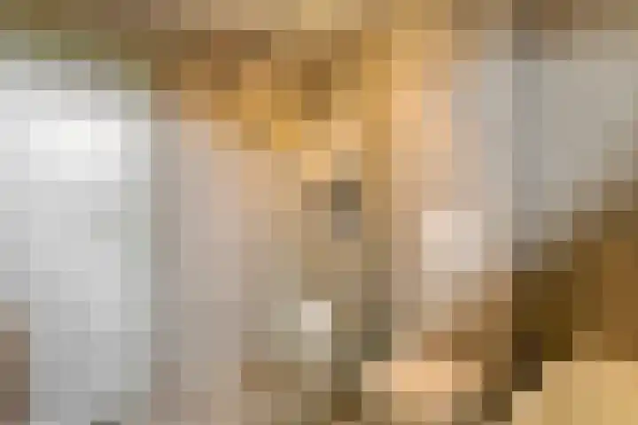 Hoefslagstraat 101 Druten thumbnail 21