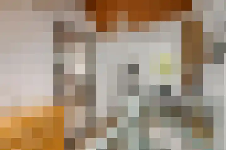 Hoefslagstraat 101 Druten thumbnail 32