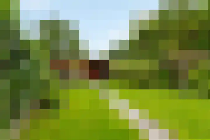 Hoefslagstraat 101 Druten thumbnail 33