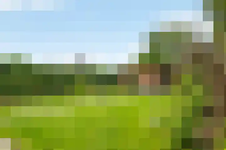 Hoefslagstraat 101 Druten thumbnail 35