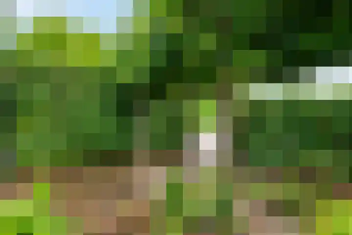 Hoefslagstraat 101 Druten thumbnail 38