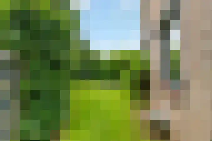 Hoefslagstraat 101 Druten thumbnail 39