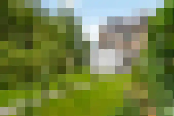 Hoefslagstraat 101 Druten thumbnail 4