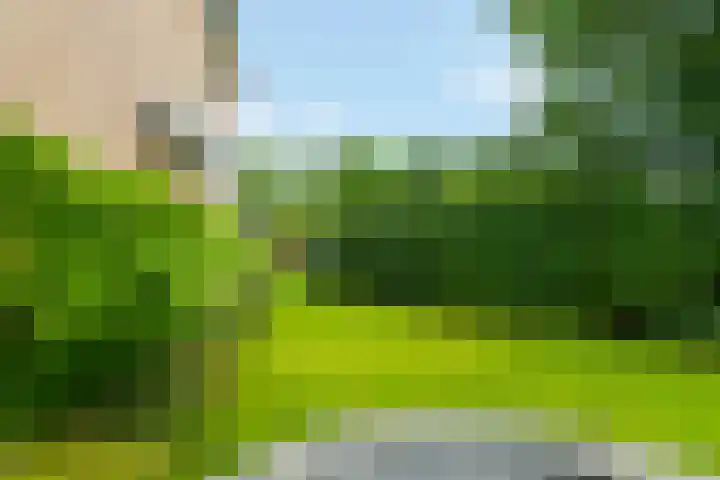 Hoefslagstraat 101 Druten thumbnail 40