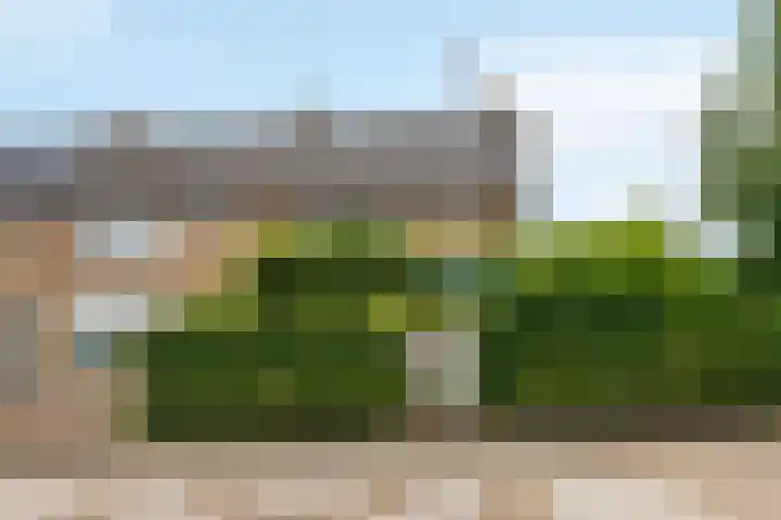 Hoefslagstraat 101 Druten thumbnail 5