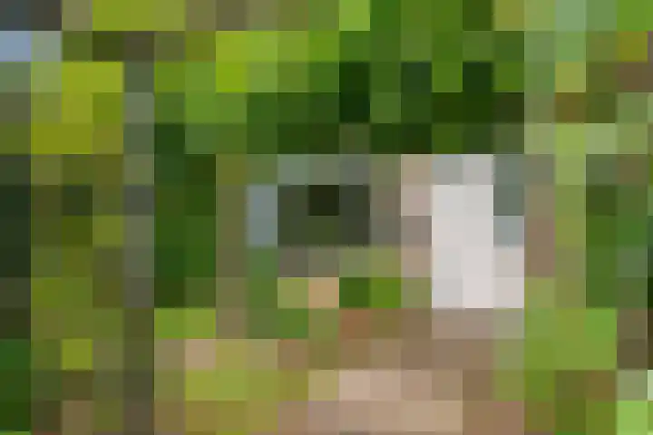 Hoefslagstraat 101 Druten thumbnail 6