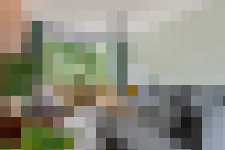 Hoefslagstraat 101 Druten thumbnail 7