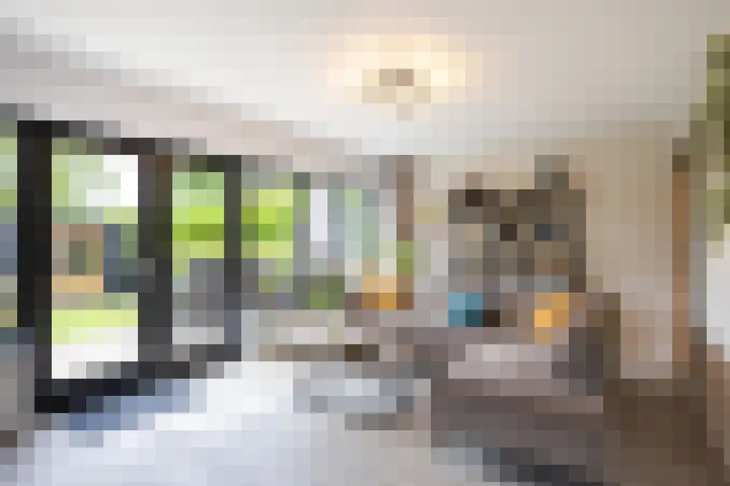 Hoefsmederij 12 Delfzijl thumbnail 21