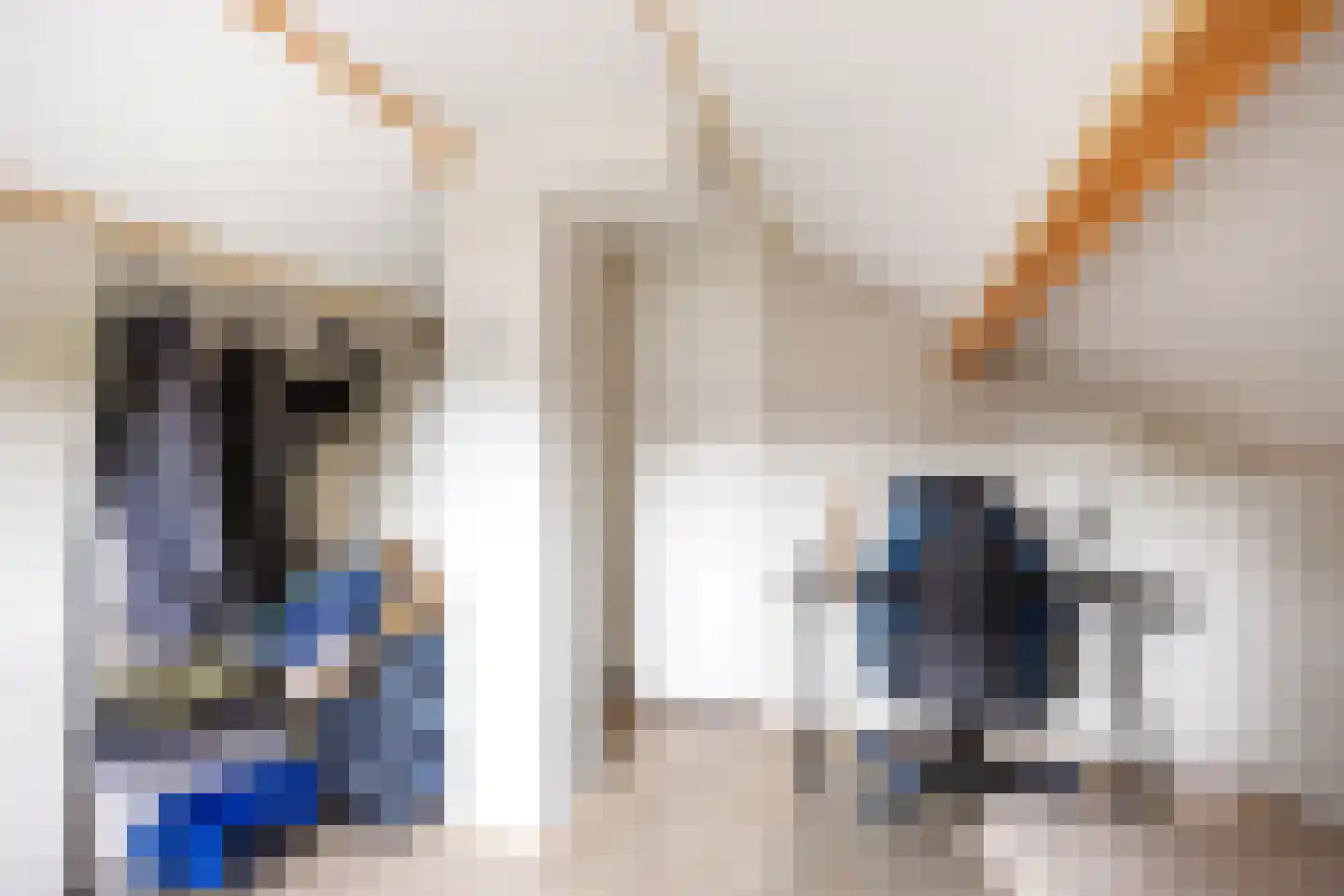 Hoefsmederij 12 Delfzijl thumbnail 49