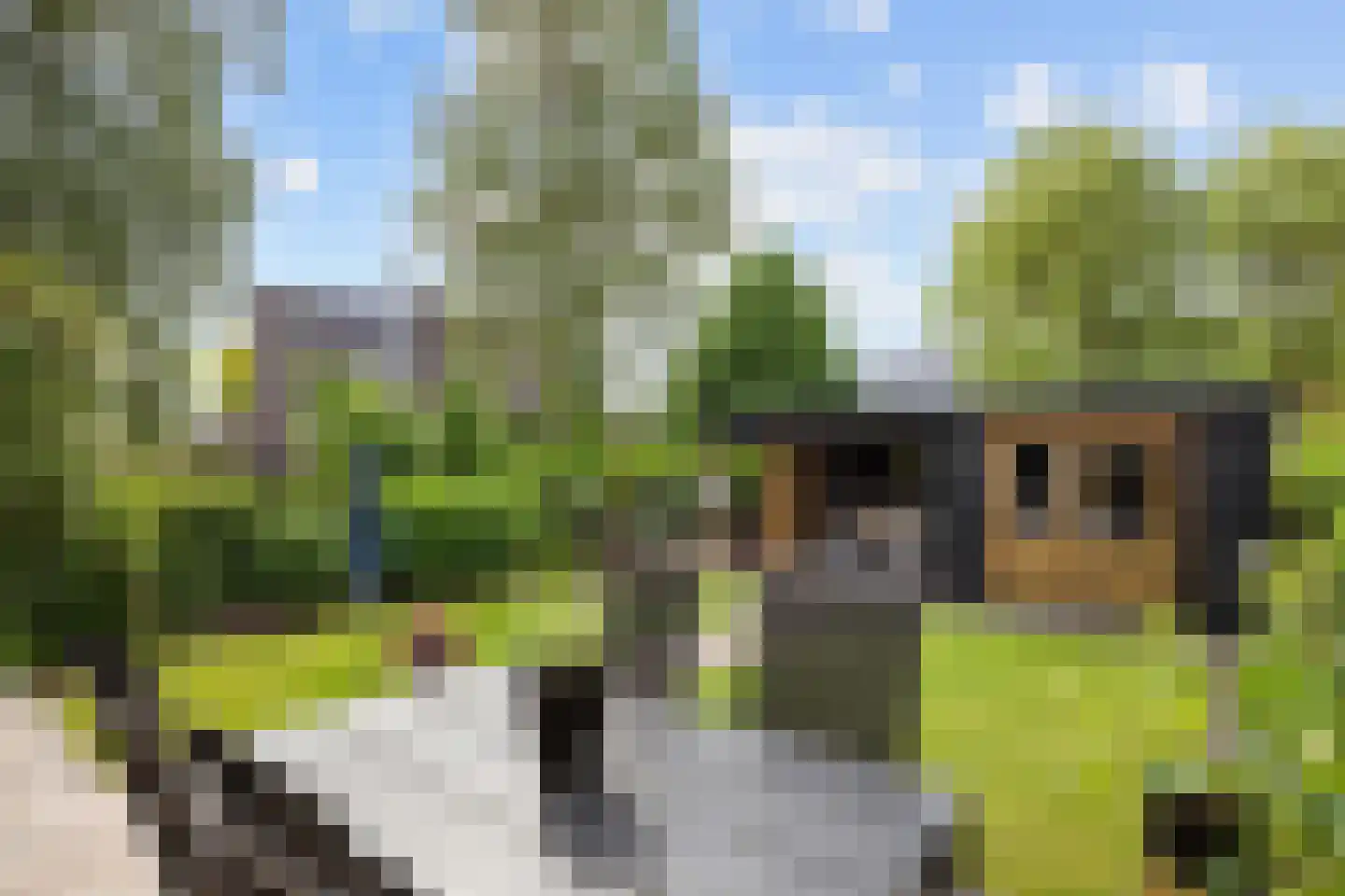 Hoefsmederij 12 Delfzijl thumbnail 50