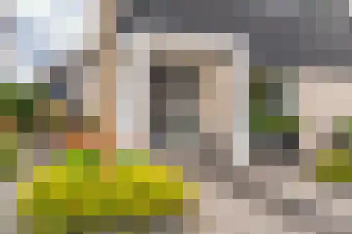 Hoefsmederij 24 Delfzijl thumbnail 12