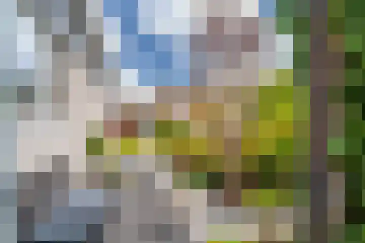 Hoefsmederij 24 Delfzijl thumbnail 14